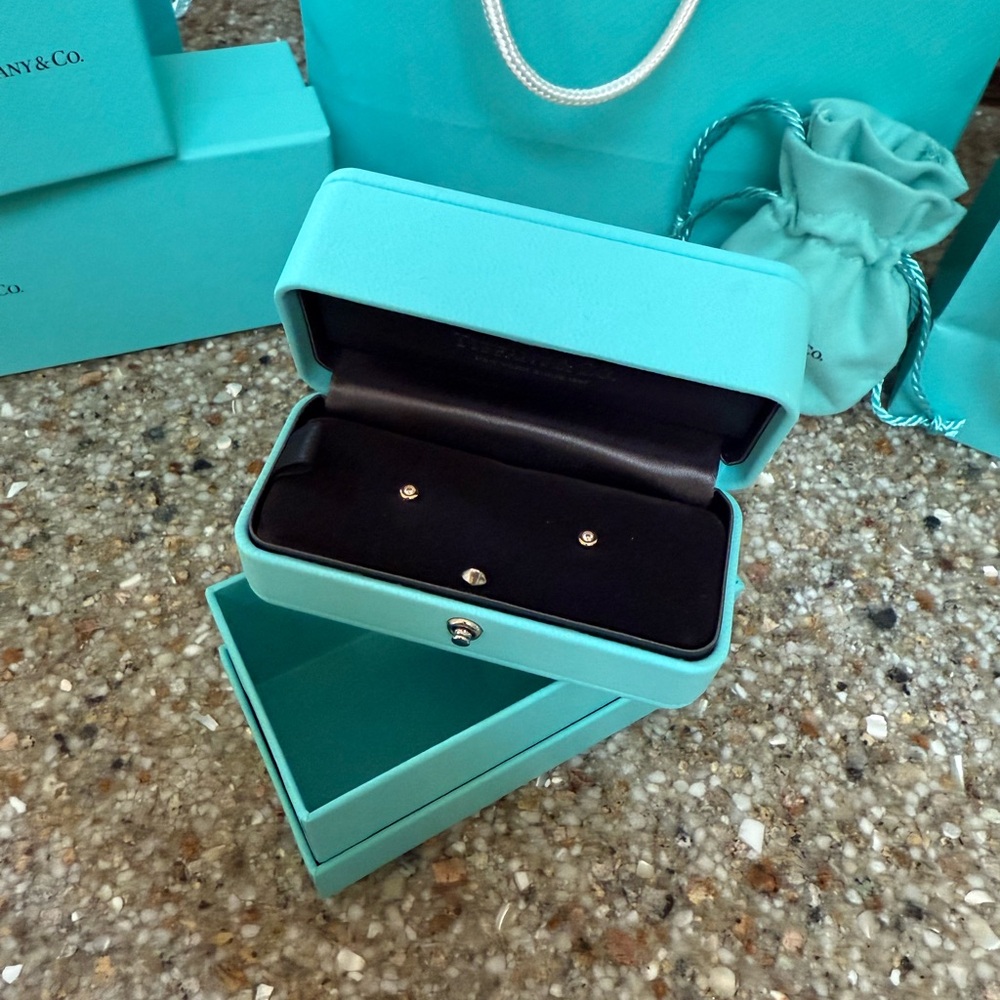 Tiffany & Co Diamonds by the Yard® Earrings